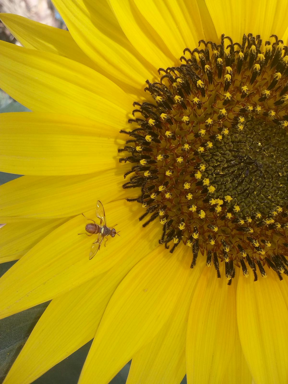Złoty naszyjnik z cyrkonią - obrazek 3